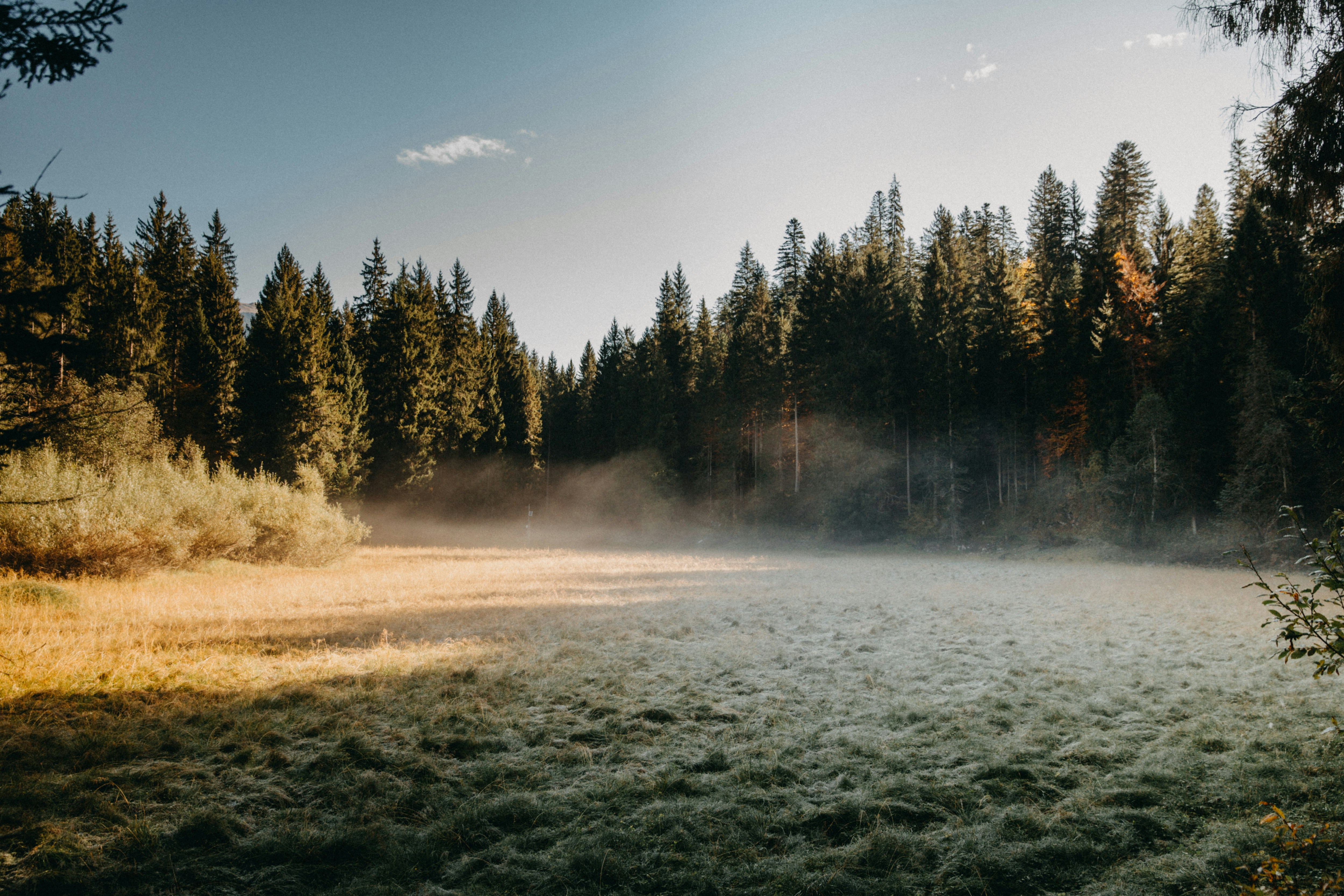 clearing