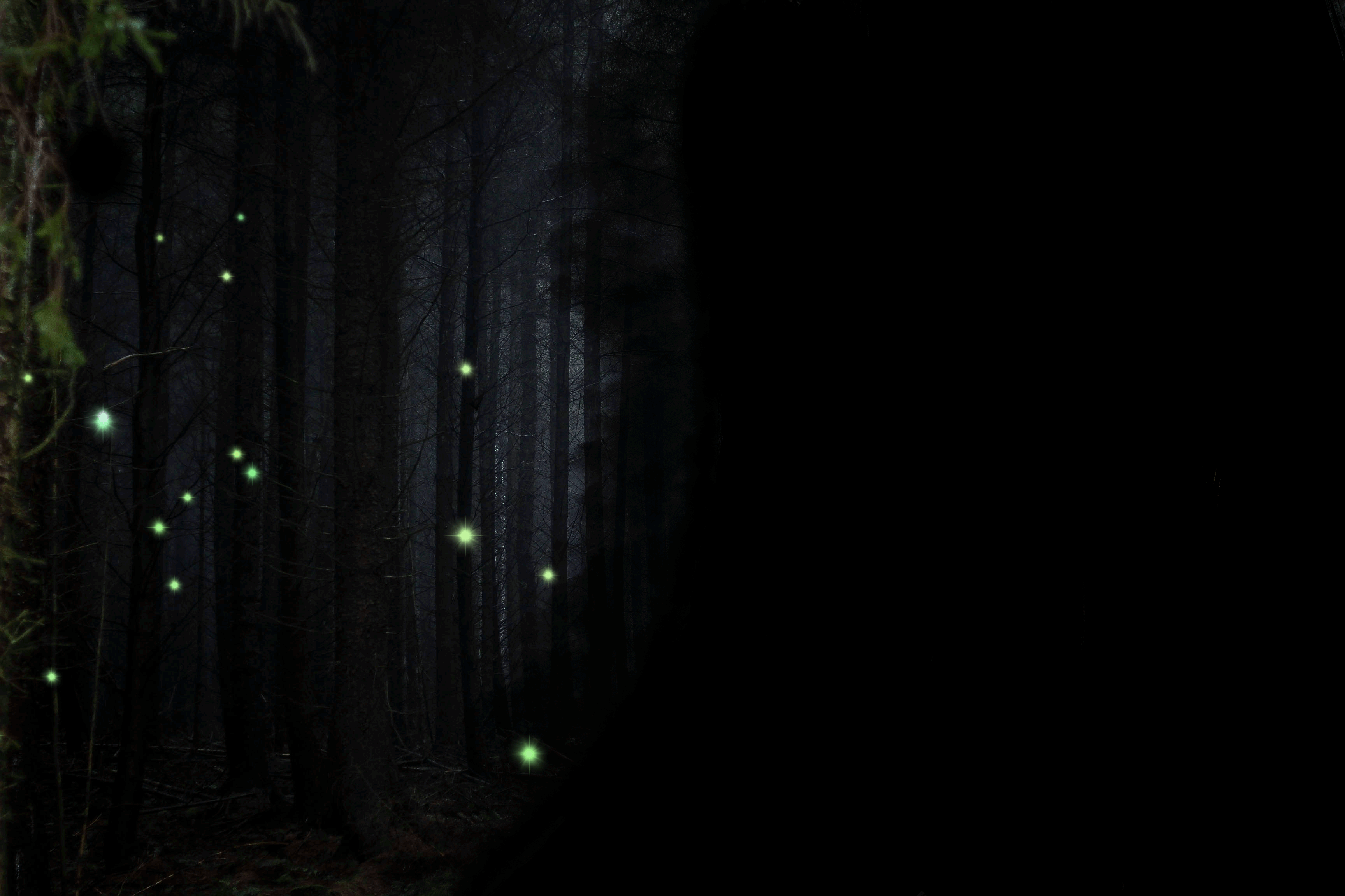 lights and darkness