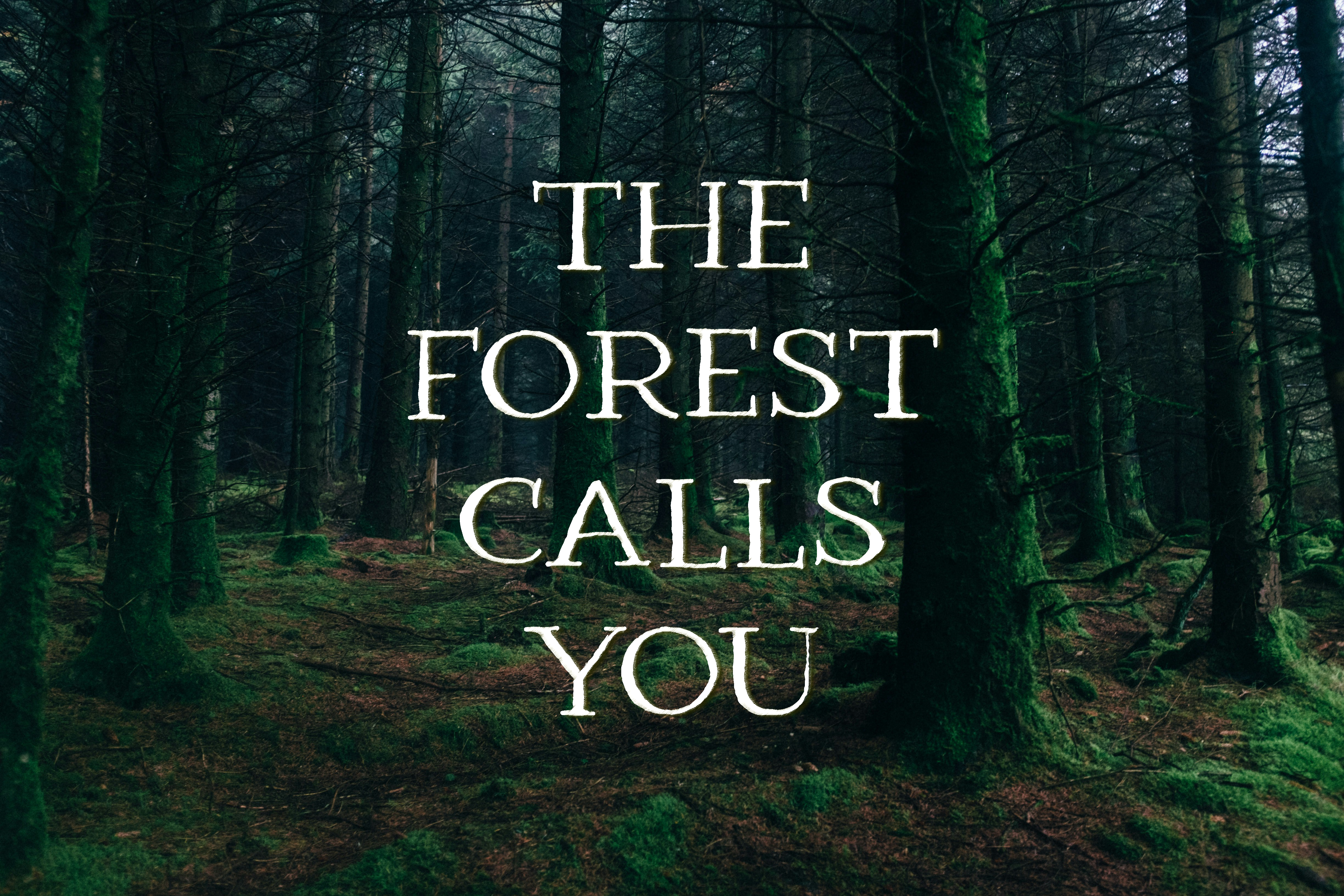 forest start screen
